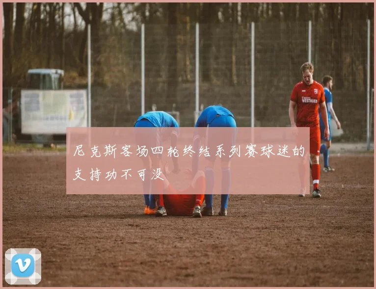 尼克斯客场四轮终结系列赛球迷的支持功不可没